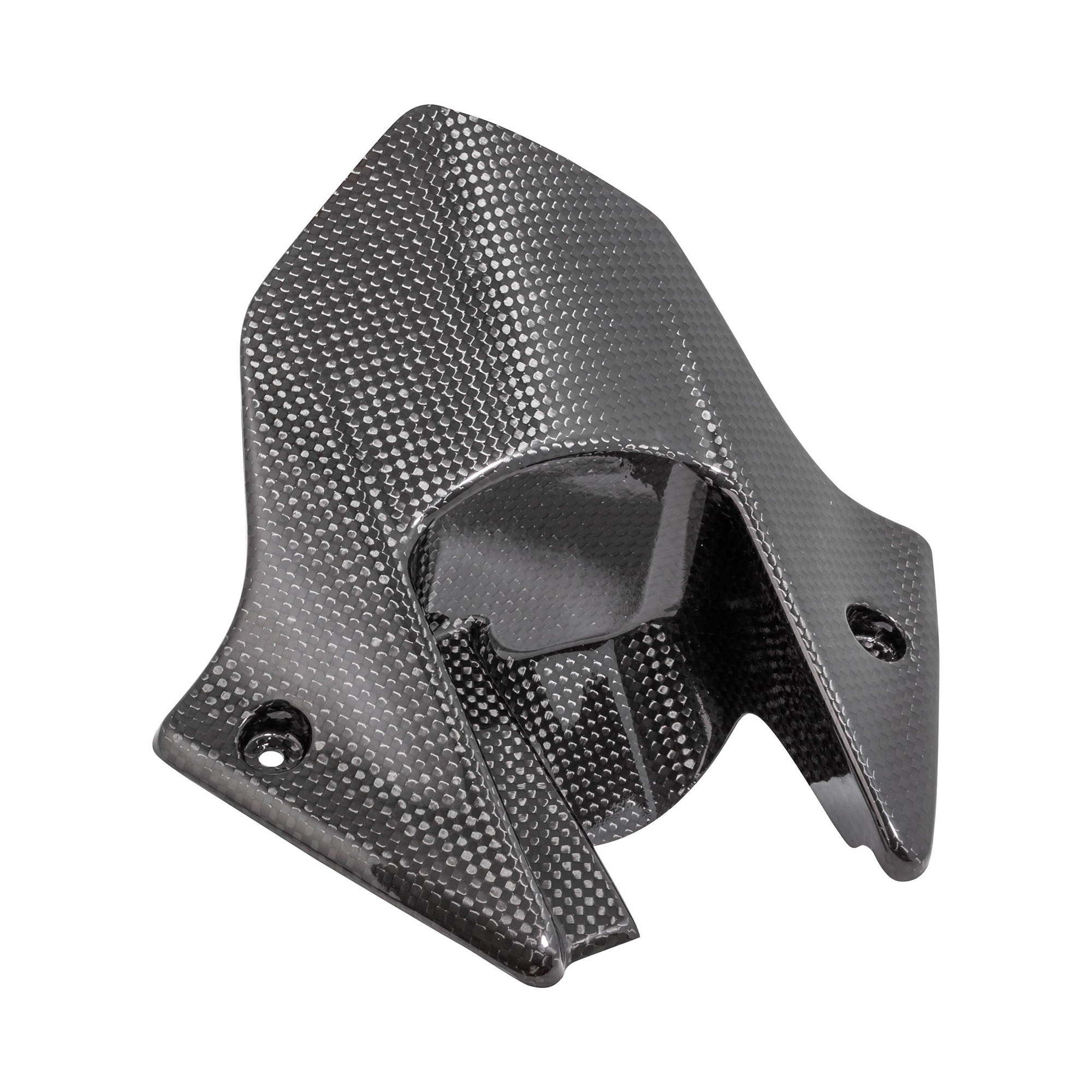 Parafango posteriore carbonio LighTech per HONDA CBR 1000 RR 2008-2011