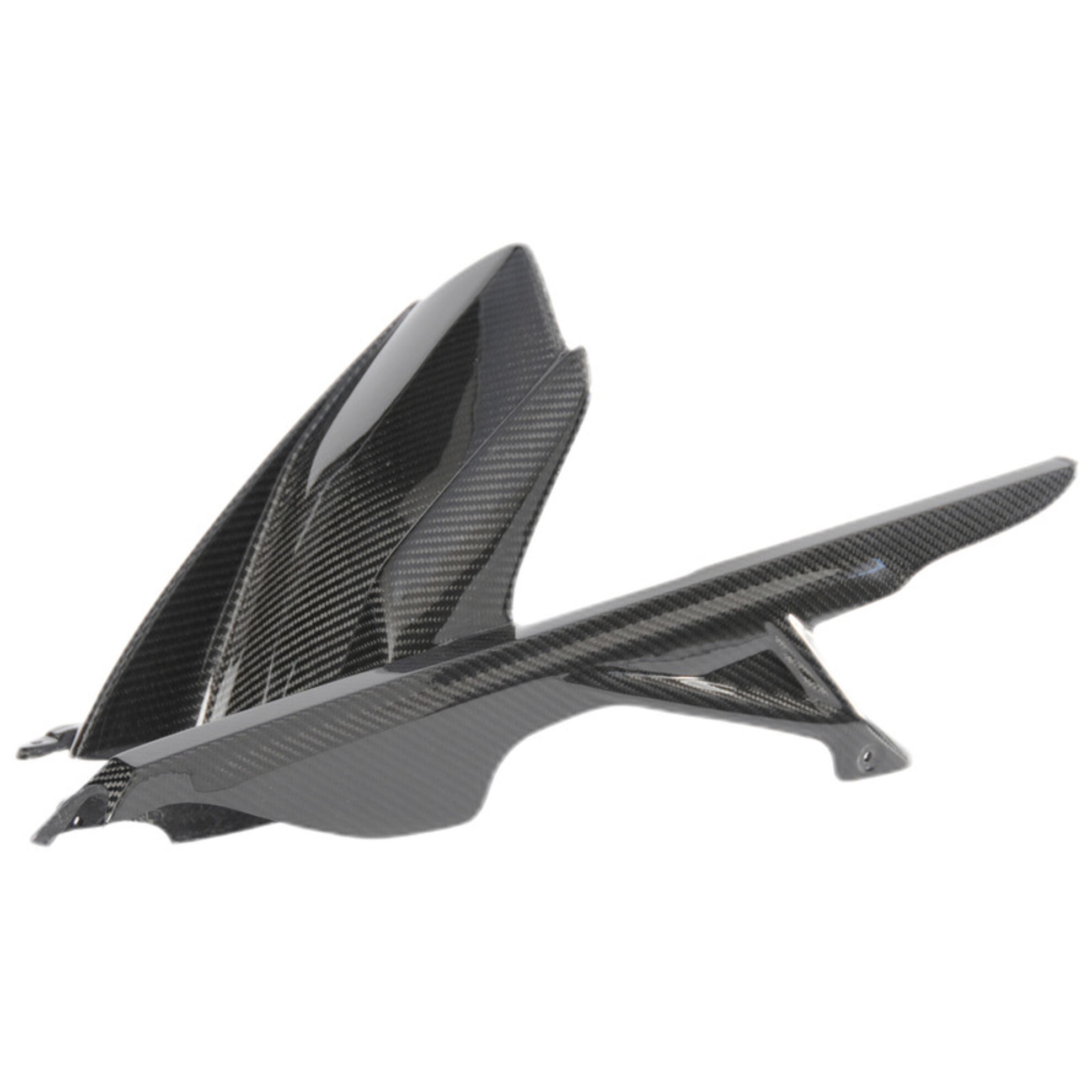 Parafango posteriore carbonio LighTech per BMW S 1000 R 2021-2024