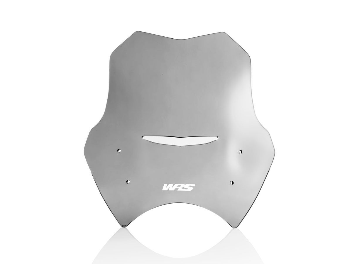 Cupolino WRS Sport Fumo per BMW R 1150 R 2000-2006