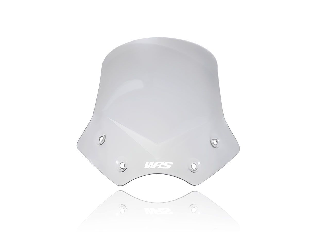 Cupolino WRS Intermedio Fumo per BMW R 1200 R 2006-2014