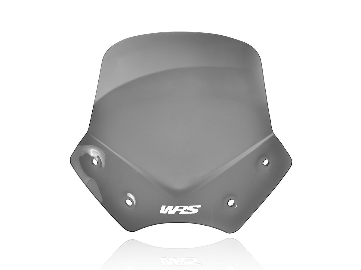 Cupolino WRS Sport Fumo Scuro per BMW R 1200 R 2006-2014