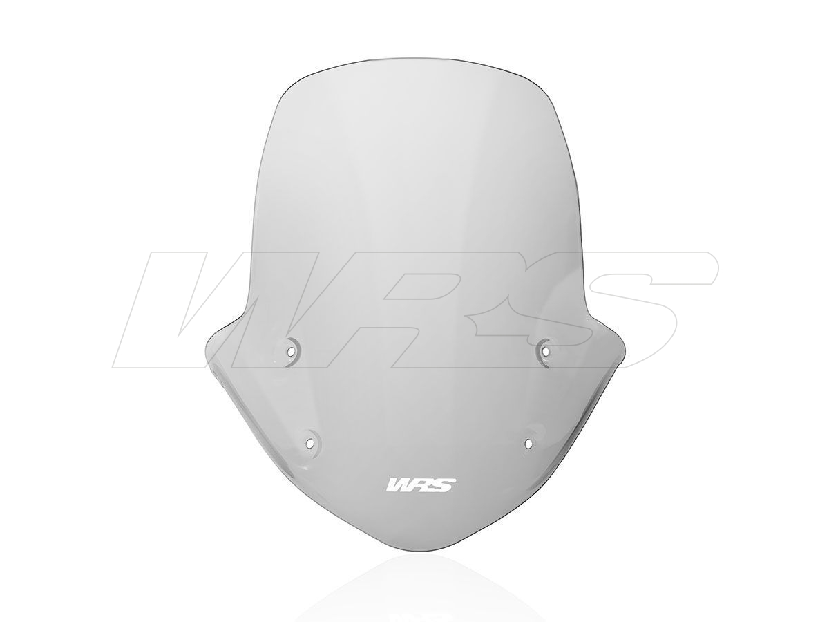 Cupolino WRS Touring Fumo per BMW R 1250 R 2019-2024