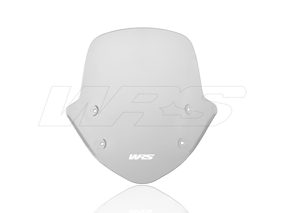 Cupolino WRS Standard Fumo per BMW R 1250 R 2019-2024