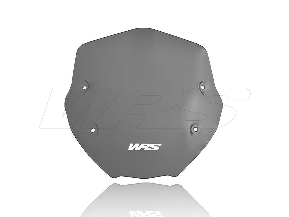 Cupolino WRS Sport Fumo Scuro per BMW R 1250 R 2019-2024