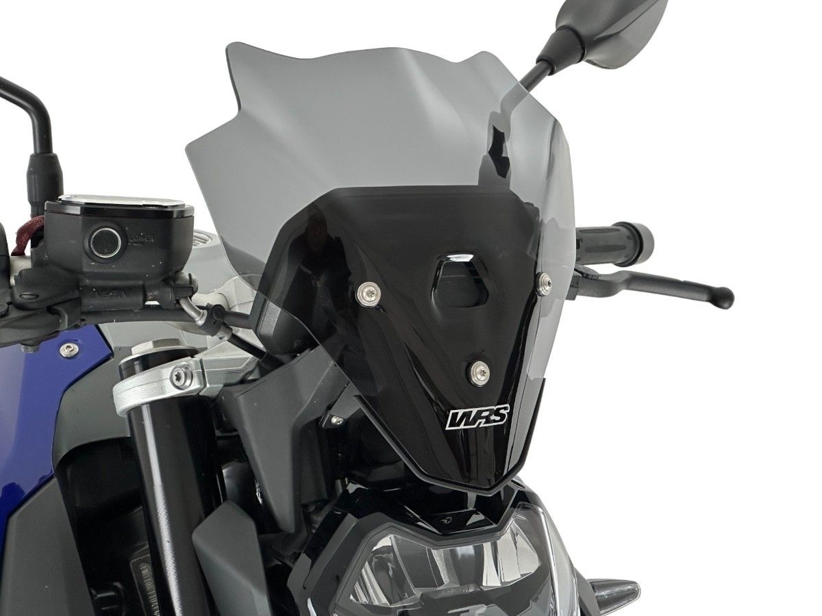 Cupolino WRS Touring Fumo Scuro per BMW F 900 R 2018-2026