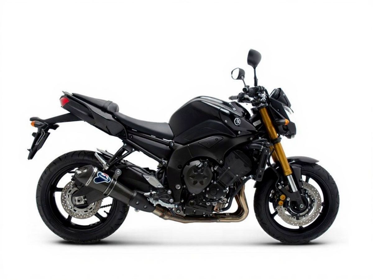 Silenziatore Termignoni Omologato in Titanio per YAMAHA FZ1 2011-2016